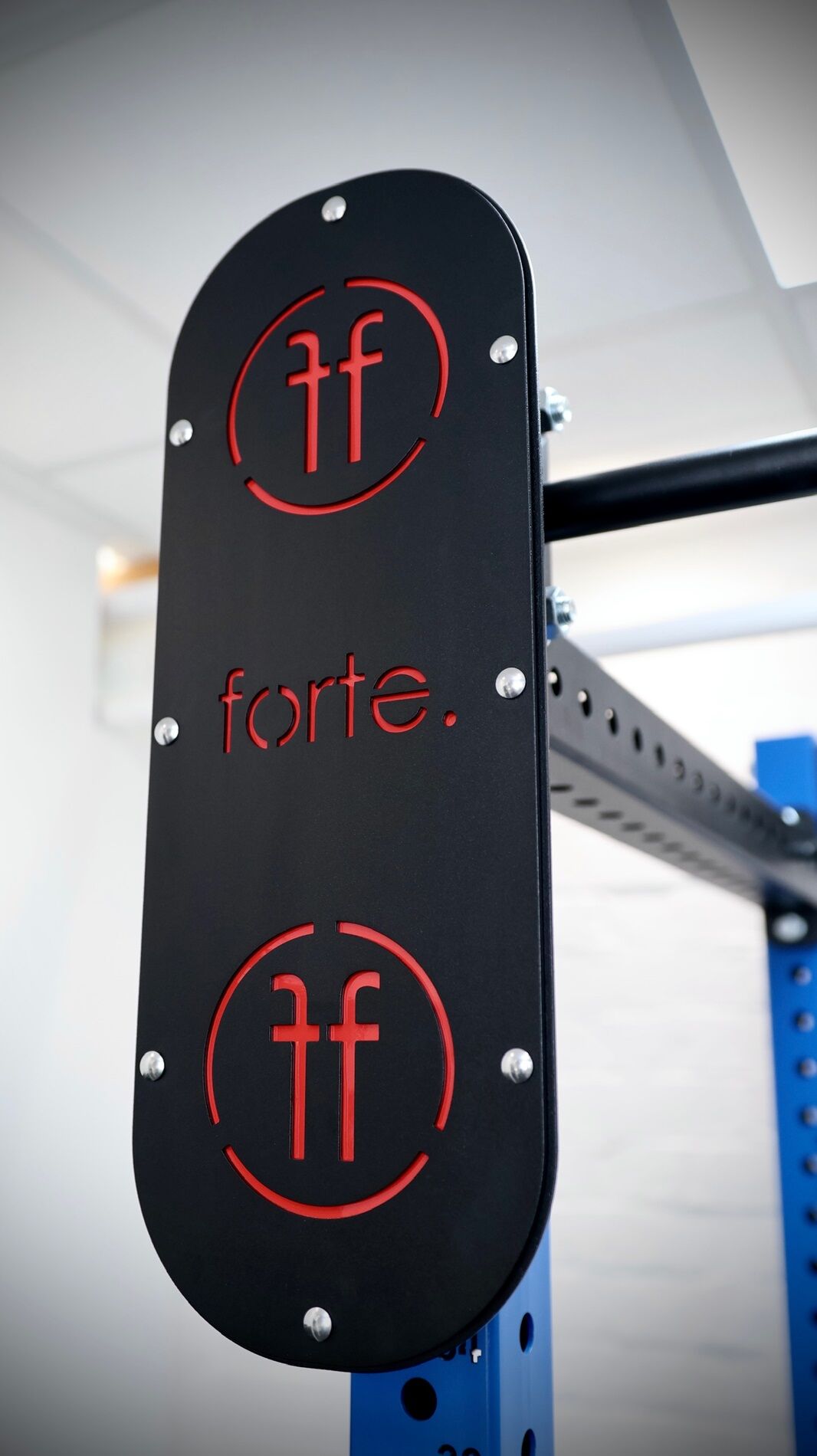 wall ball target double wall ball target in red mounted on a rack