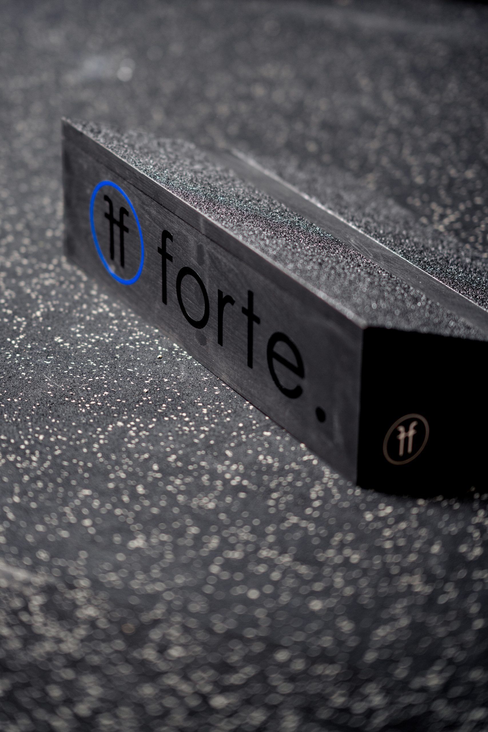 _DSC7565 close up of a wooden slant board showing the blue and black forte fitness logo at the back