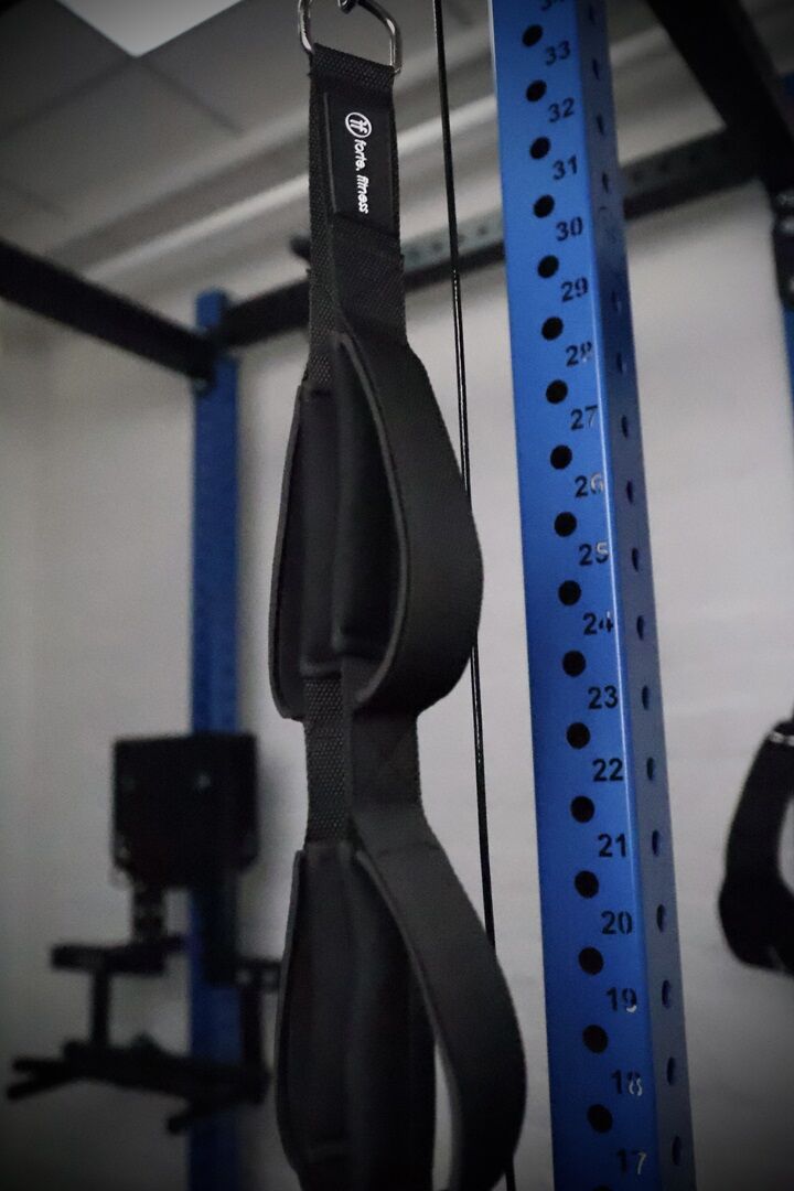 tricep straps